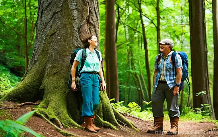 농촌관광지도사 시험 합격률 - **Prompt:** A diverse group of travelers, aged 25-50, is on a sun-dappled forest trail, looking up w...